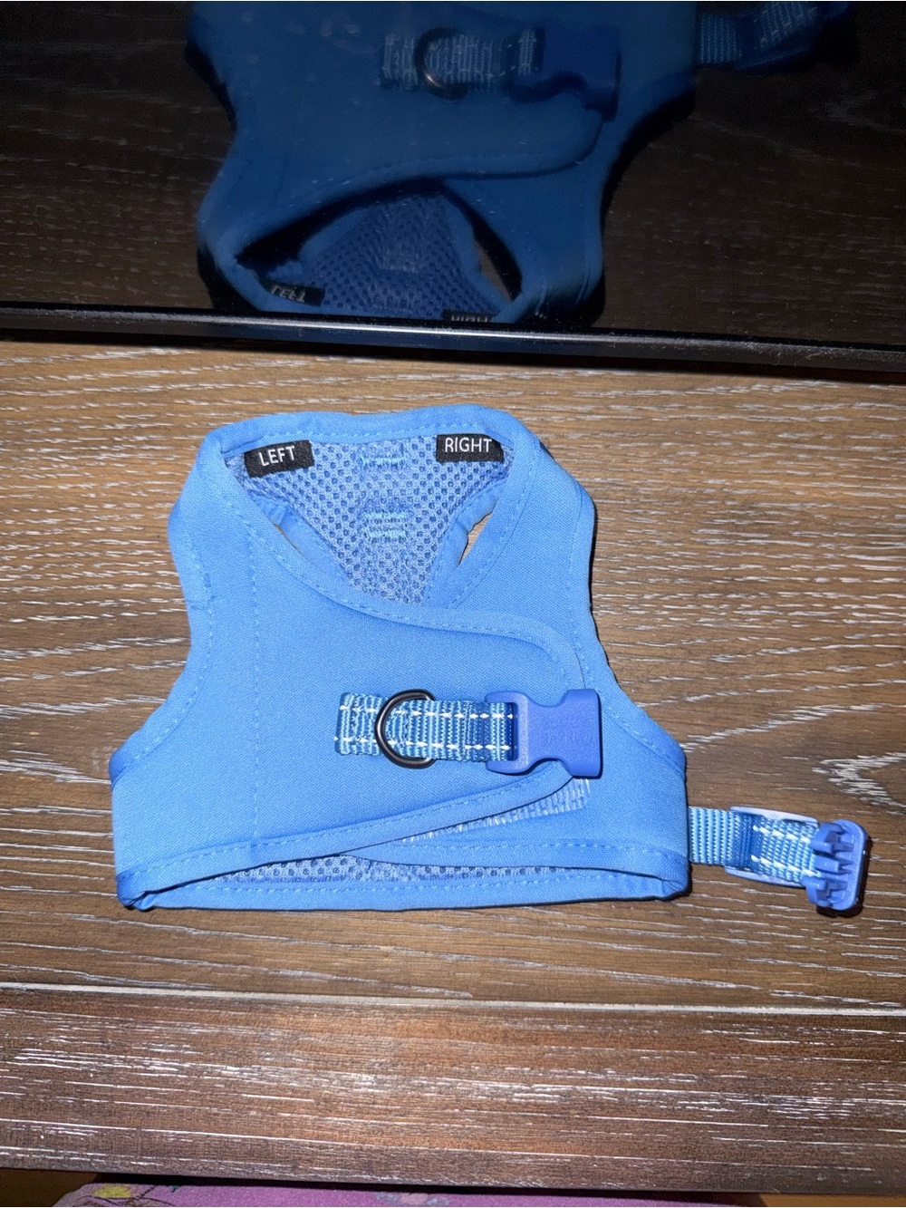 Boots & Barkley Blue Padded Dog Harness